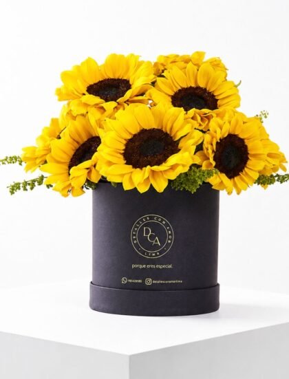 BOX 12 GIRASOLES