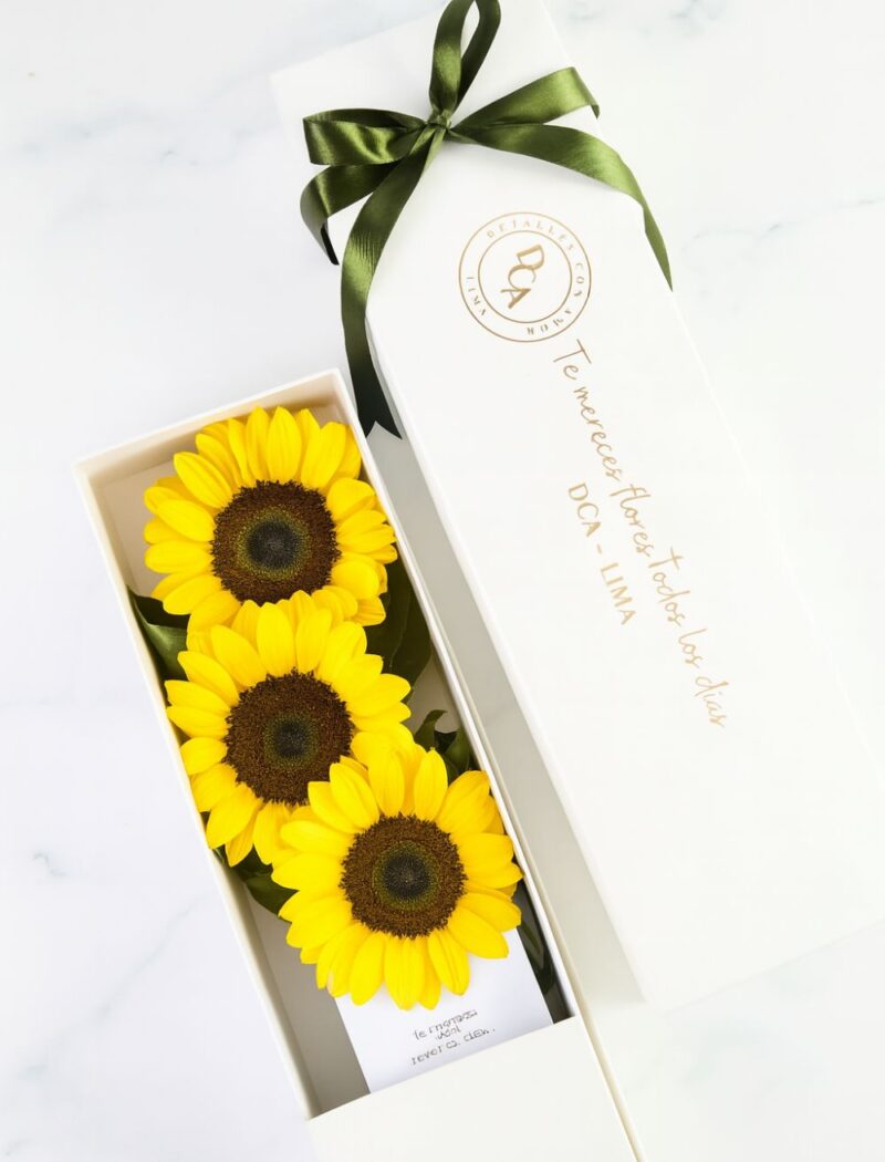 CAJA DE 3 GIRASOLES AMARILLOS