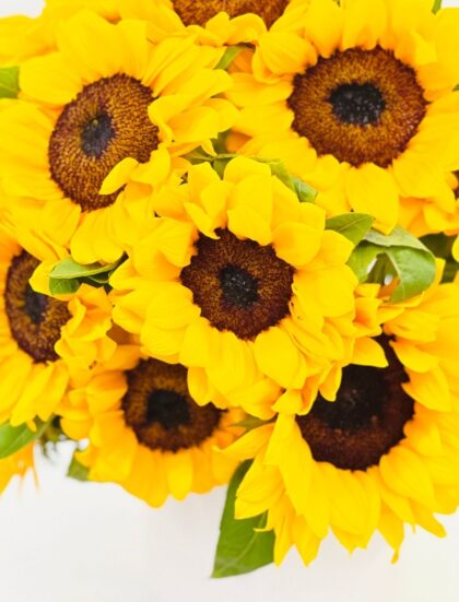 Florero Londres 20  Girasoles