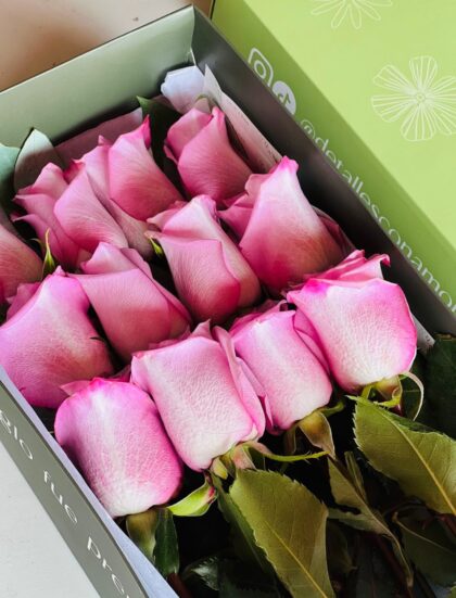 Aixa, caja 12 rosas lilas