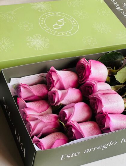 Aixa, caja 12 rosas lilas