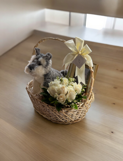 Set Blanco Regalo Schnauzer