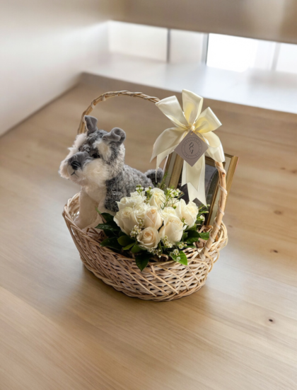 Set Blanco Regalo Schnauzer