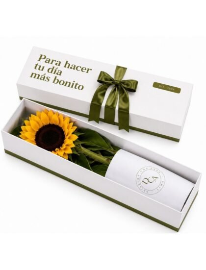 CAJA DCA 1 GIRASOL