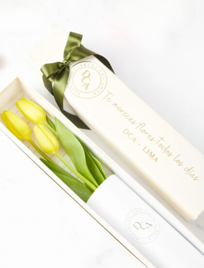 CAJA DE 3 TULIPANES PREMIUM