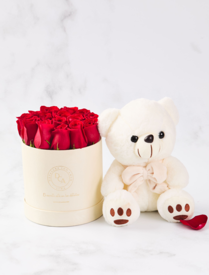 Pack Box Rosas premium y Oso Puchi