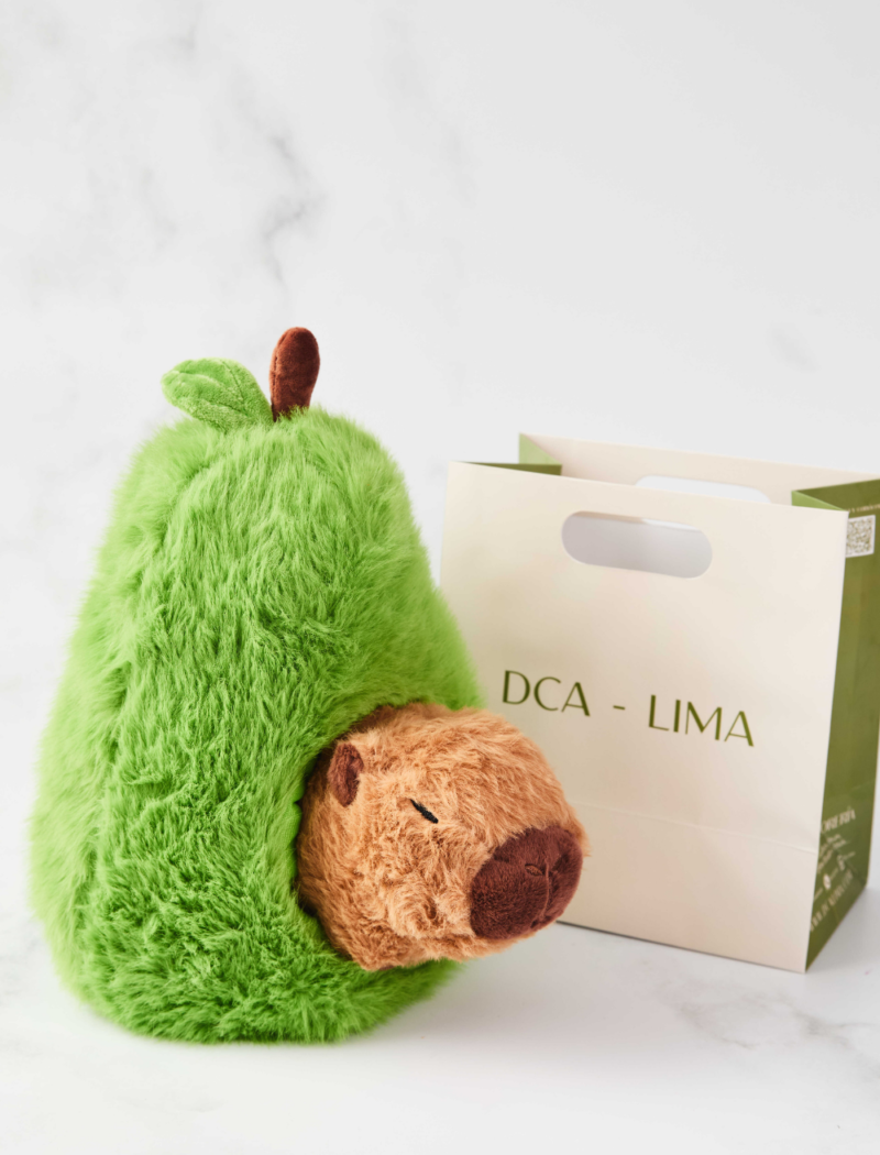 PELUCHE CAPIBARA LOVE - Imagen 5