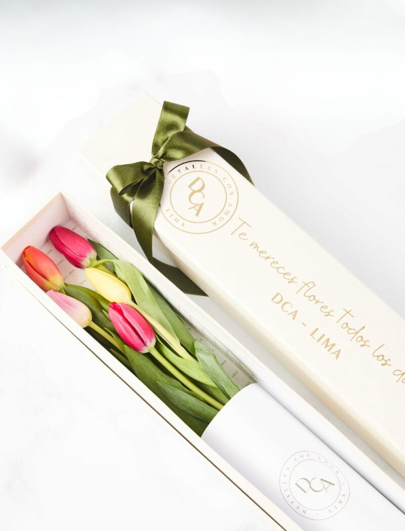 CAJA DCA 5 TULIPANES