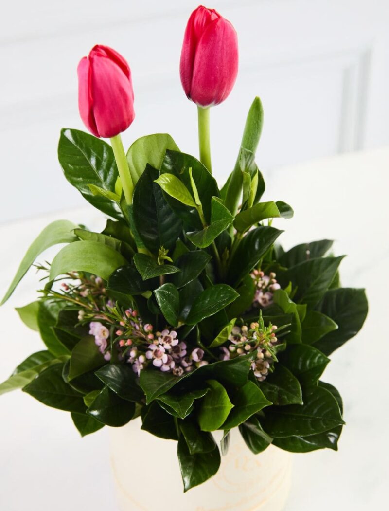 ARREGLO PETIT 2 TULIPANES - Imagen 2