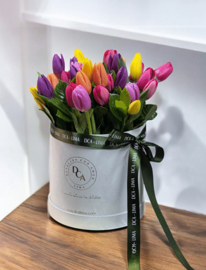 Box 30 Tulipanes