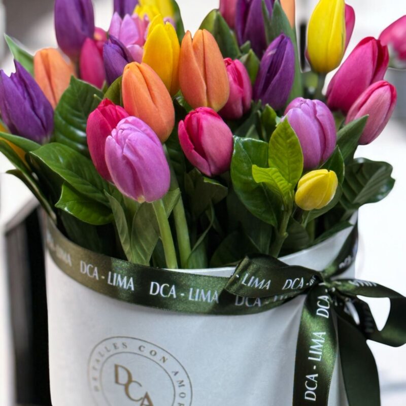 Box 30 Tulipanes - Imagen 3