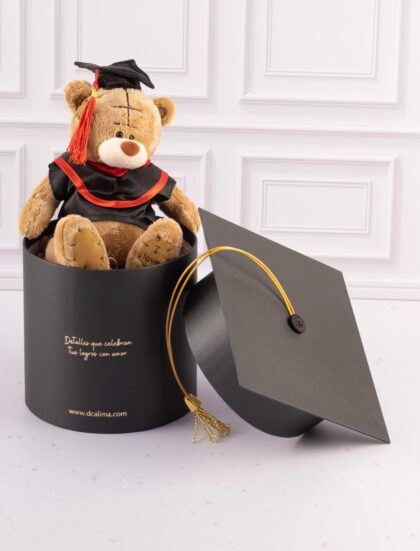 OSITO GRADUADO YOGI
