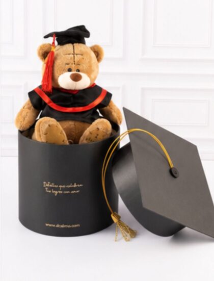 OSITO GRADUADO YOGI