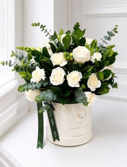 BOX CAMILA BRIDE