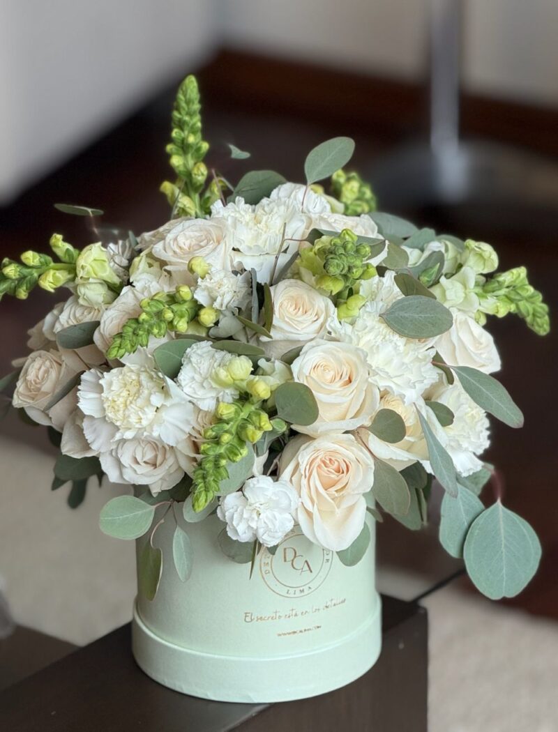 BOX ROSAS MARILUNA