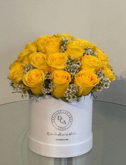 BOX YELLOW EXCLUSIVO