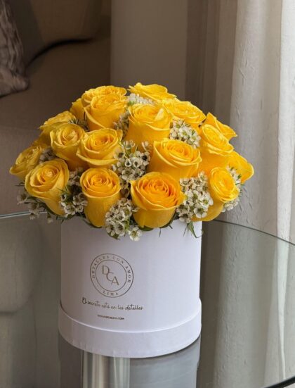 BOX YELLOW EXCLUSIVO