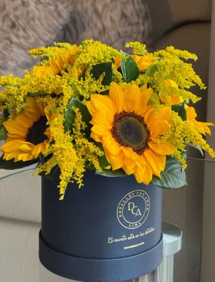 BOX LA FAVORITA GIRASOLES
