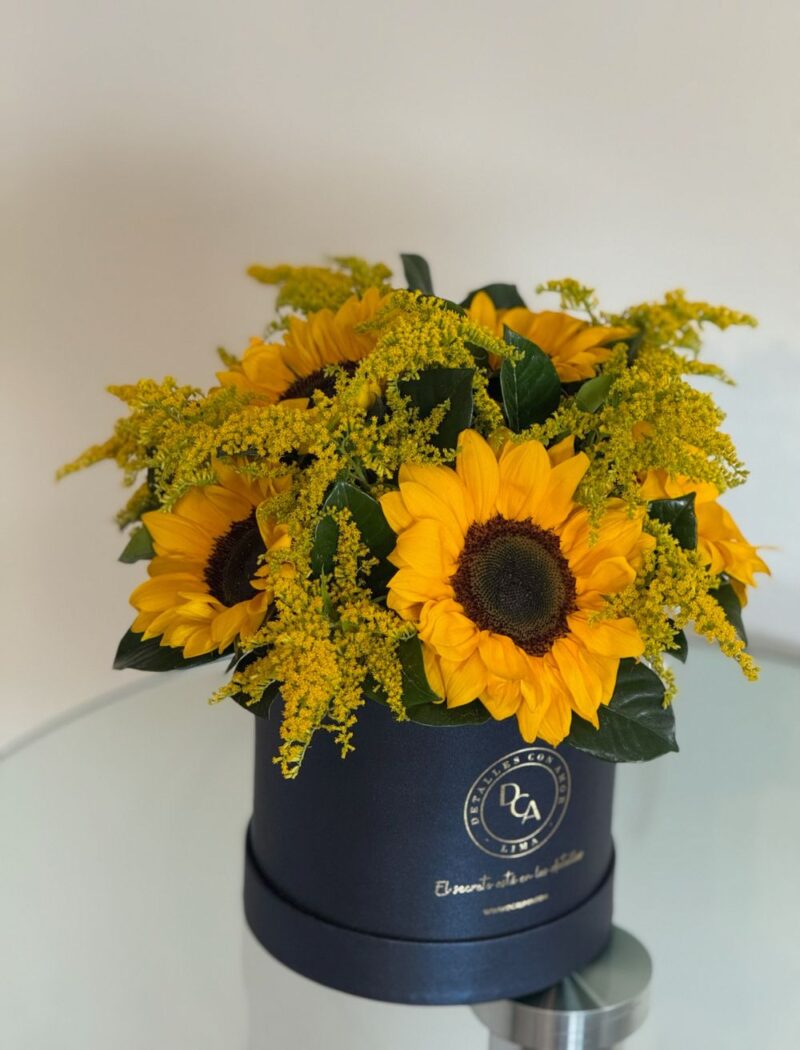 BOX LA FAVORITA GIRASOLES - Imagen 3