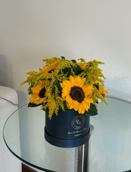 BOX LA FAVORITA GIRASOLES