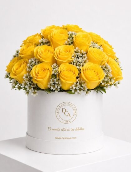BOX YELLOW EXCLUSIVO