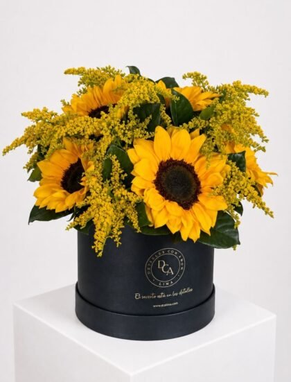 BOX LA FAVORITA GIRASOLES