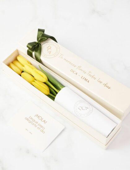 CAJA 10 TULIPANES AMARILLOS