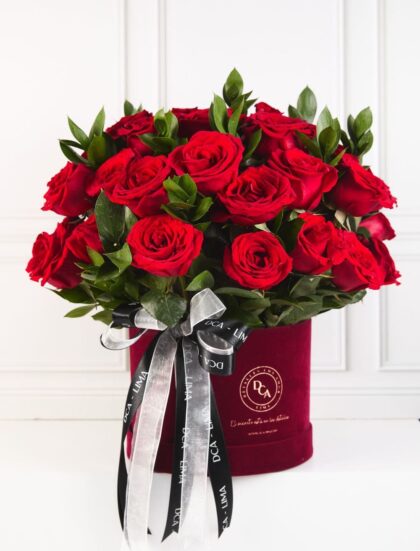 box pana rojo san valentín