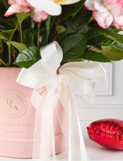 box mix rosas y orquideas san valentin