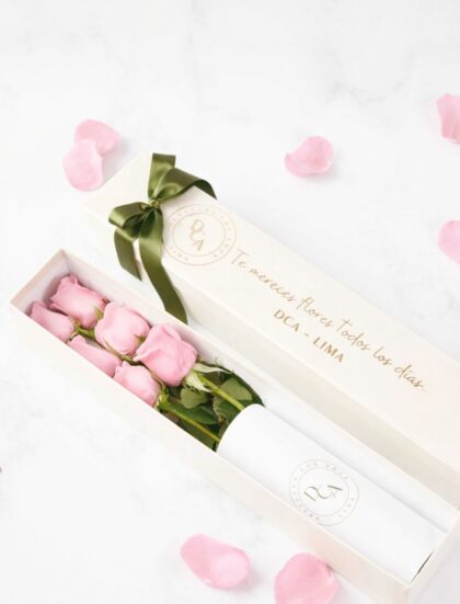 CAJA DE 6 ROSAS ROSADAS
