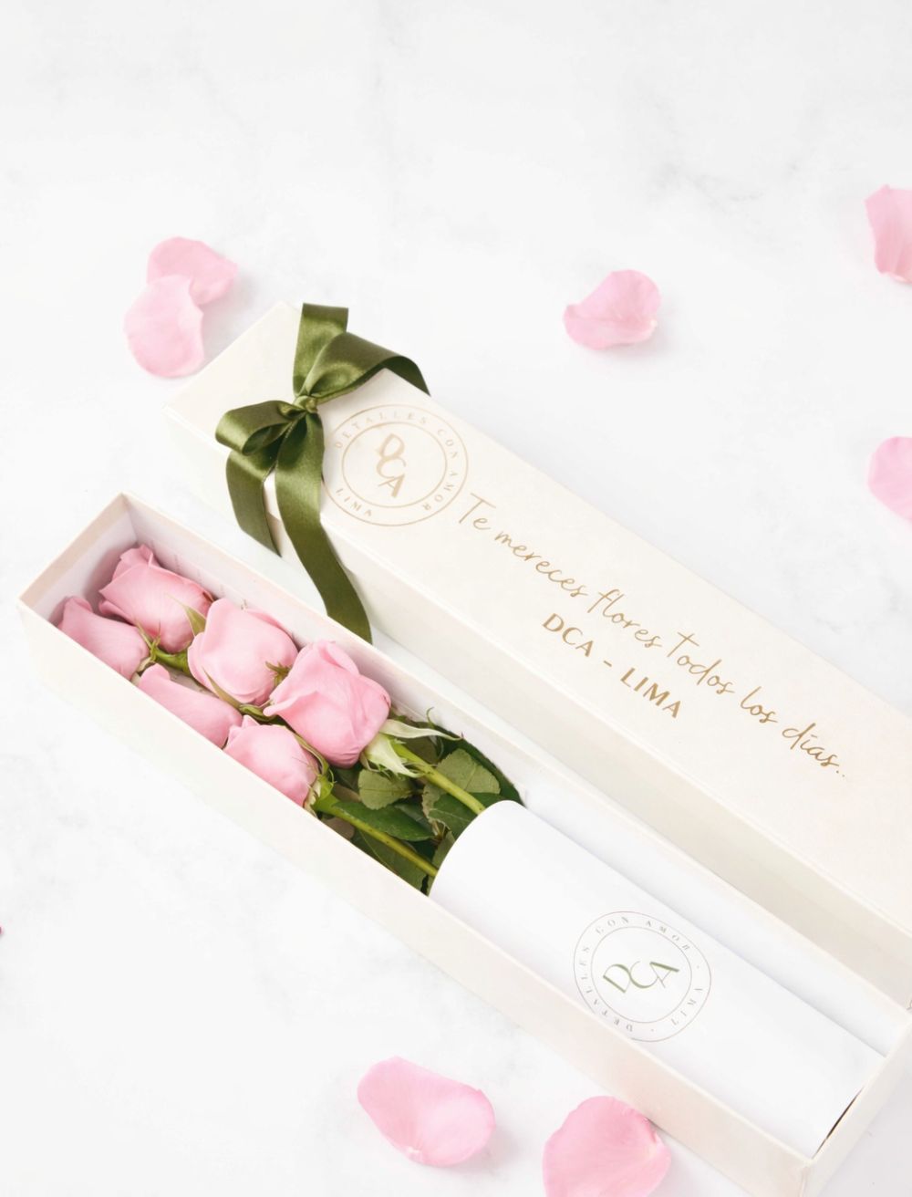 CAJA DE 6 ROSAS ROSADAS