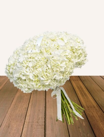RAMO 8 HORTENSIAS