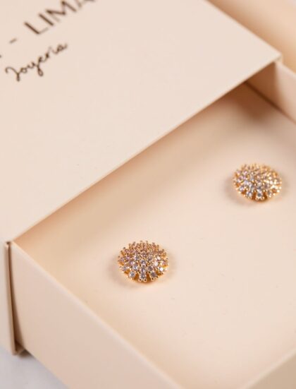 ARETES  BRILLO VERONICA