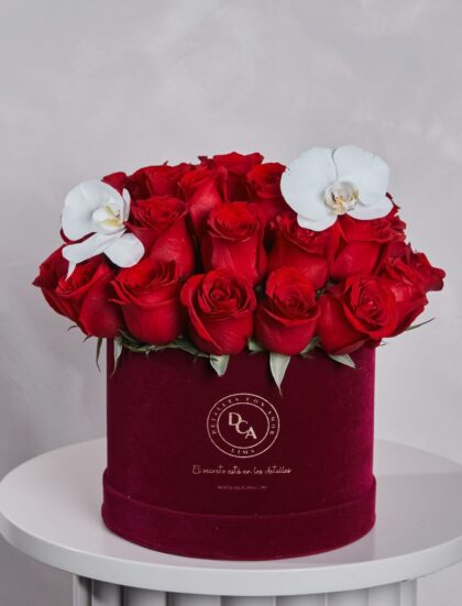 BOX PANA ROSAS VINO Y ORQUÍDEA