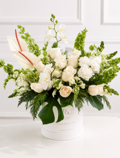 BOX FLORES PREMIUM BOSQUE ENCANTADO