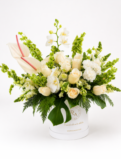 BOX FLORES PREMIUM BOSQUE ENCANTADO
